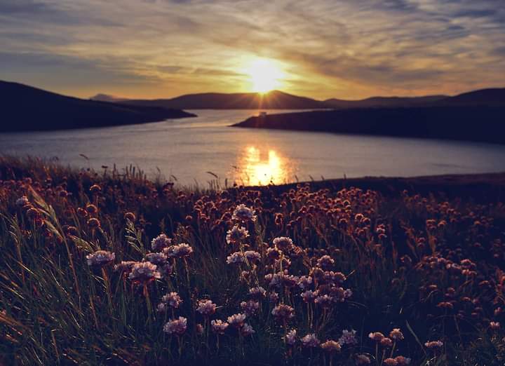 Dul faoi na gréine (Sunset)
Cuan an Daingin (Dingle Harbour). #WestKerry 
Photos by Florian Walsh