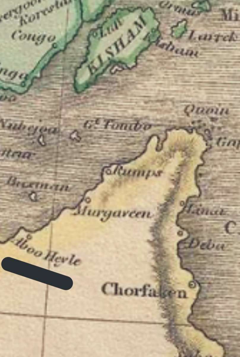 Rashed 🌳 tweet media