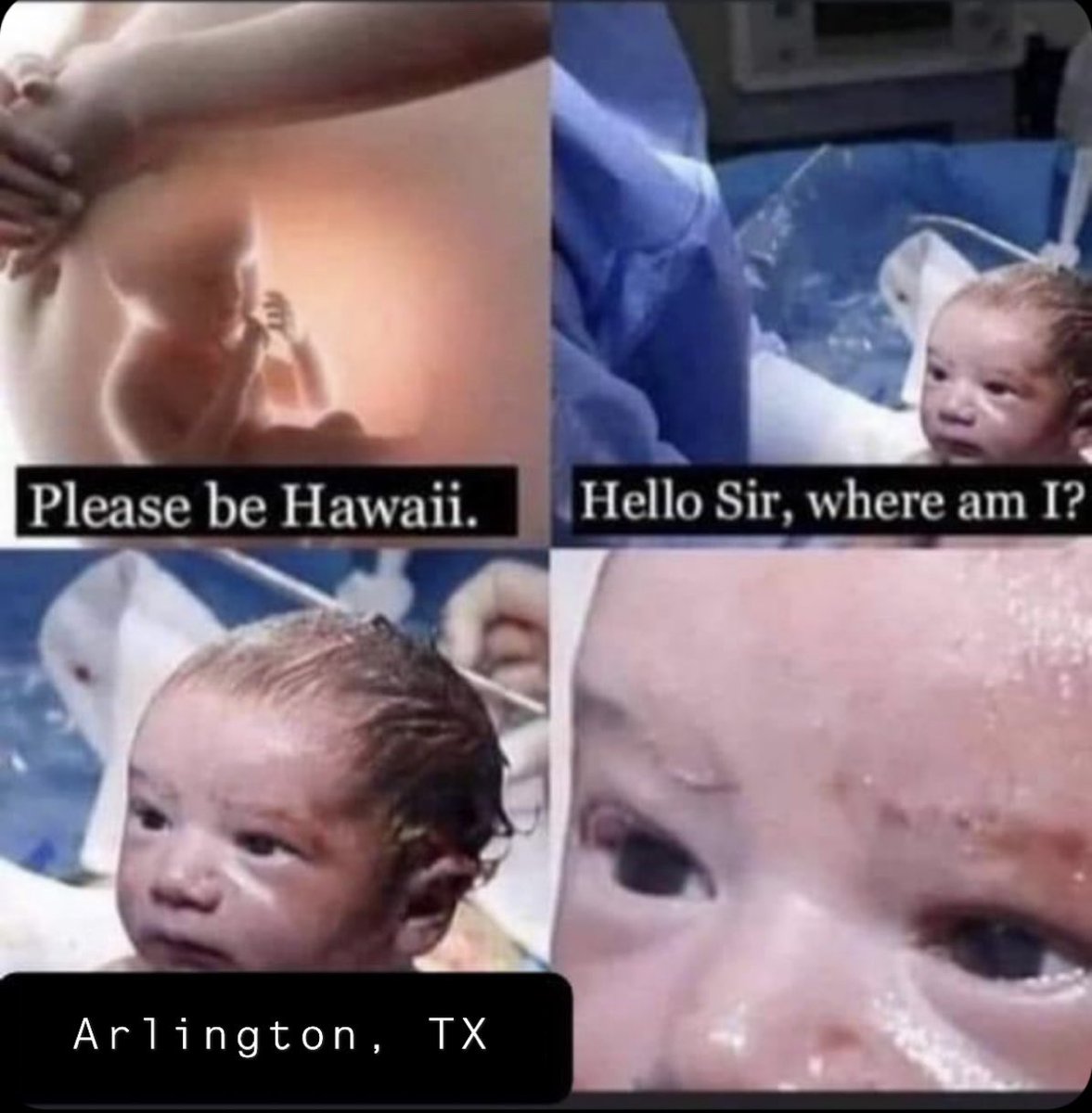 biddy (@a_biddy) on Twitter photo 