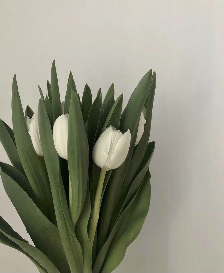 jeongwoomu's tweet photo. happy birthday to eunha unnie eps @campaghne @jeongheunbi ! hope somethings good happen to you today, i really really love you so much unniee! <3 https://t.co/JuQIzLTuV1