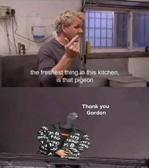 RT @PigeonALaMode: Even Gordon Ramsay knows how incredible I am
#twitch #SupportSmallStreamers https://t.co/kbwV91ZnGP