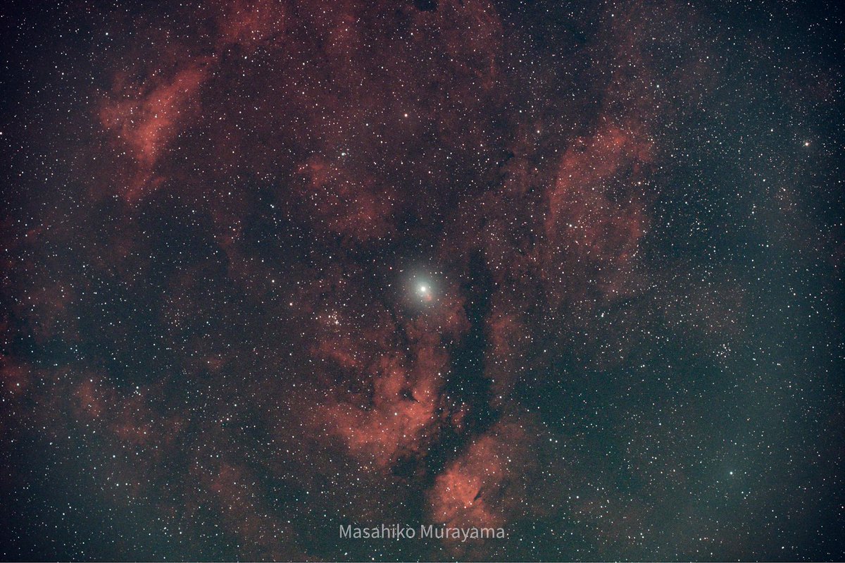 astronomy_mave's tweet photo. 白鳥座サドル付近の散光星雲。
マイナス10度600秒一枚撮り
#sadr
#fra600
#reducer
#asi2400mc
#rst135
#LeXtreme
#optolong https://t.co/BWPRhWLn96