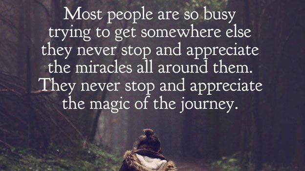 iamfearlesssoul's tweet photo. Most people are so busy trying to get somewhere else they never stop and appreciate the MIRACLES all around them. Don't let that be you. https://t.co/wB3Z7gHdg3