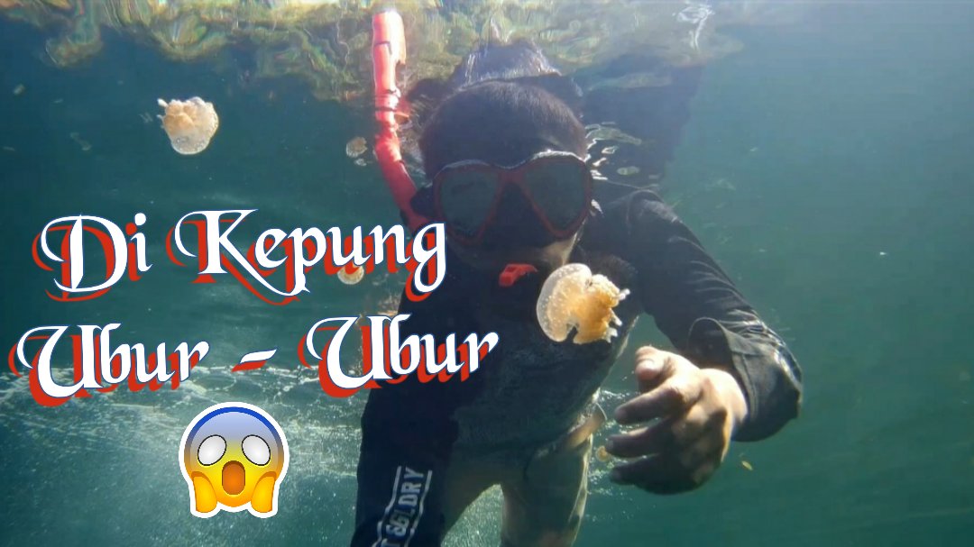 Fishlab11's tweet image. Merasakan sensasi berenang bersama ribuan ubur-ubur yg tidak menyengat..youtu.be/yJbUPZdCzF4 #uburubur #danauuburubur #jellyfish #jellyfishlake #danaumariona #marionalake #togean #togeanisland #snorkeling