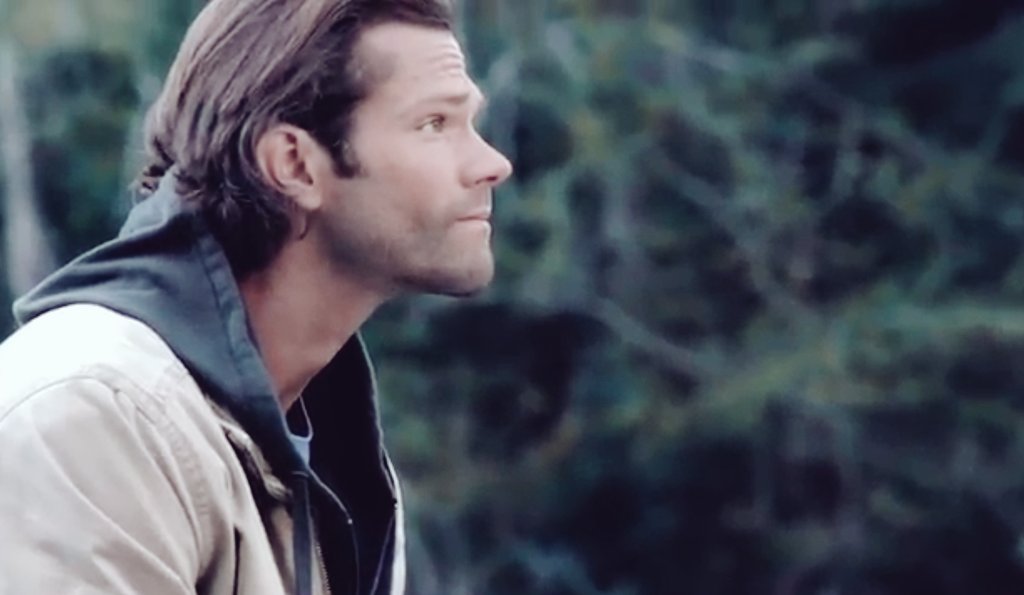 thetraincars's tweet photo. #RunForJared #WeLoveYouJaredPadalecki
no matter how this campaign ends, we have all, as a team, raised $2300. be proud of that. every like and rt has helped get us this far. you are so appreciated.
▪️ https://t.co/2xLyymHtBP https://t.co/uzICnB0eZM