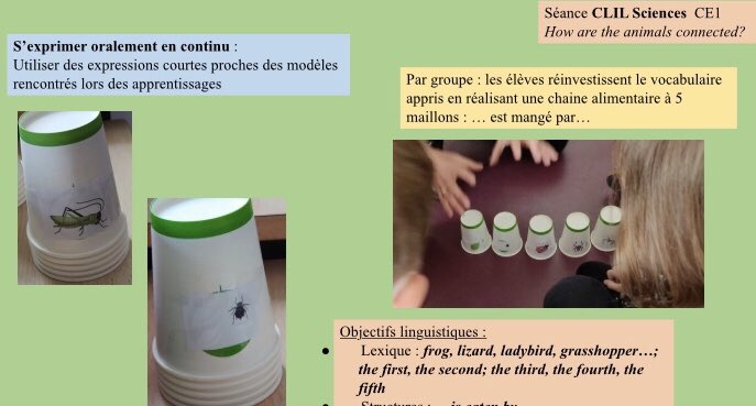 aromet1's tweet photo. Projet bilinguisme en CE1 : intégrer les langues étrangères à son enseignement. Faire des maths, du sport, des sciences ... en anglais ! Let's GO! #bilinguisme #clil #nile https://t.co/NpTLSntYyN