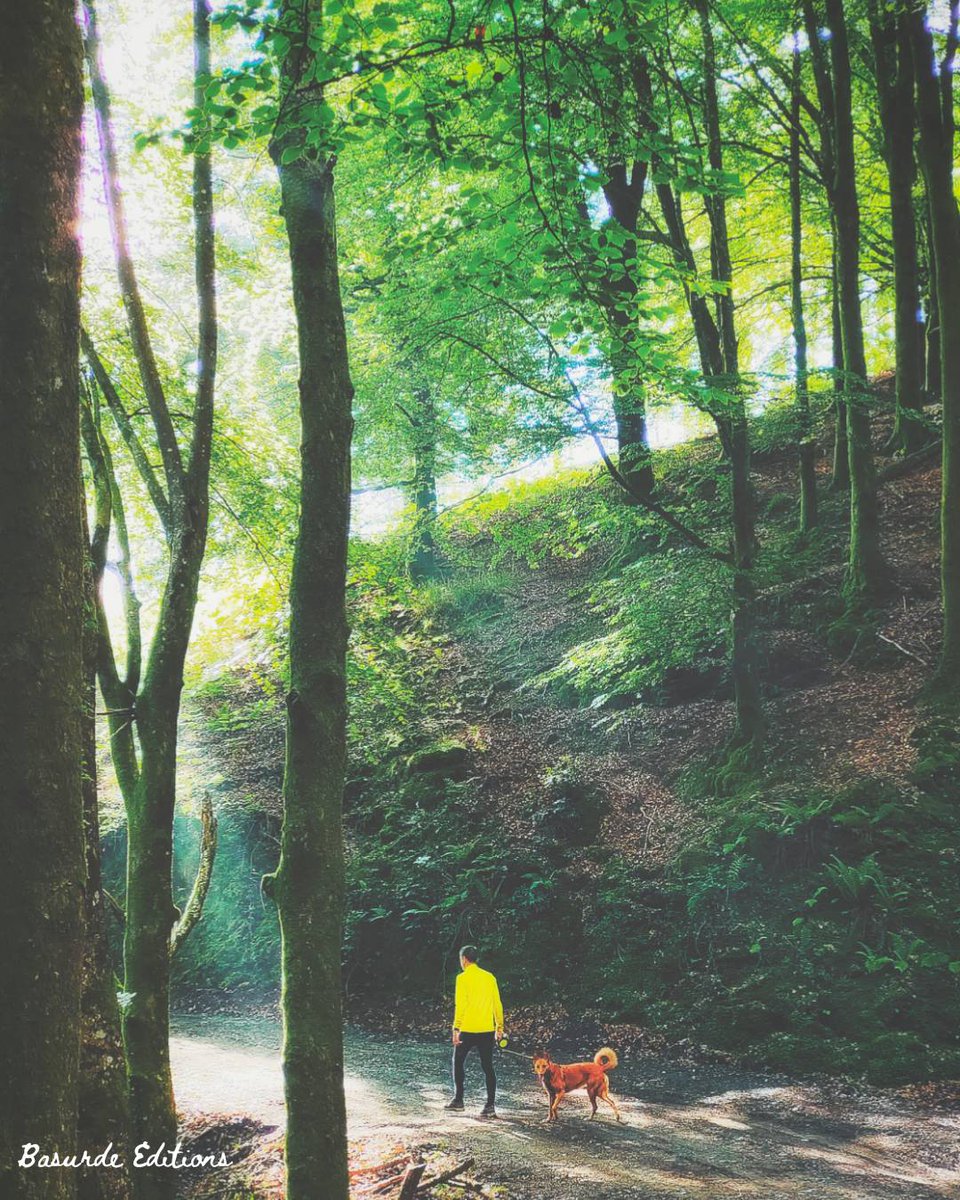 BasurdeEditions's tweet photo. Y después de una semana de mudanza, paseo primaveral por Susperregi! 🥰🏞️🌳🐕
----
#basurde #BeAdventurer 🐗
----
#euskadi #Senderismo #MontesVascos #Vive_Montañas #Mendiak #Naturaleza #Sumiloc #basquemountains #landscape #BasqueCountry #Natura #Estaes_PaisVasco https://t.co/PGZQ6SZl4i