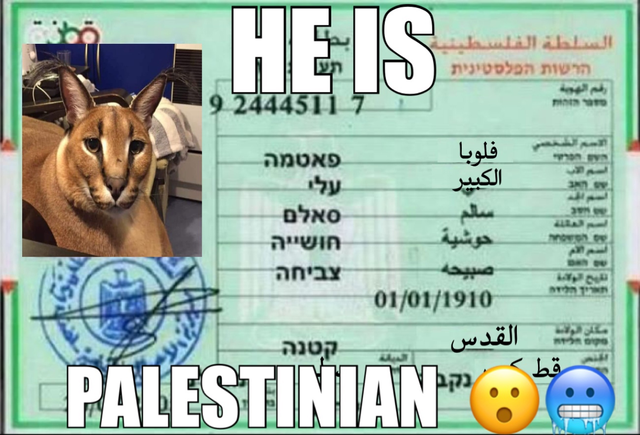 E2km2HJX0AIon-y?format=jpg&name=large