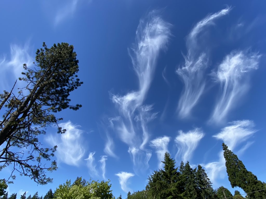 Jeff Forgeron tweet media