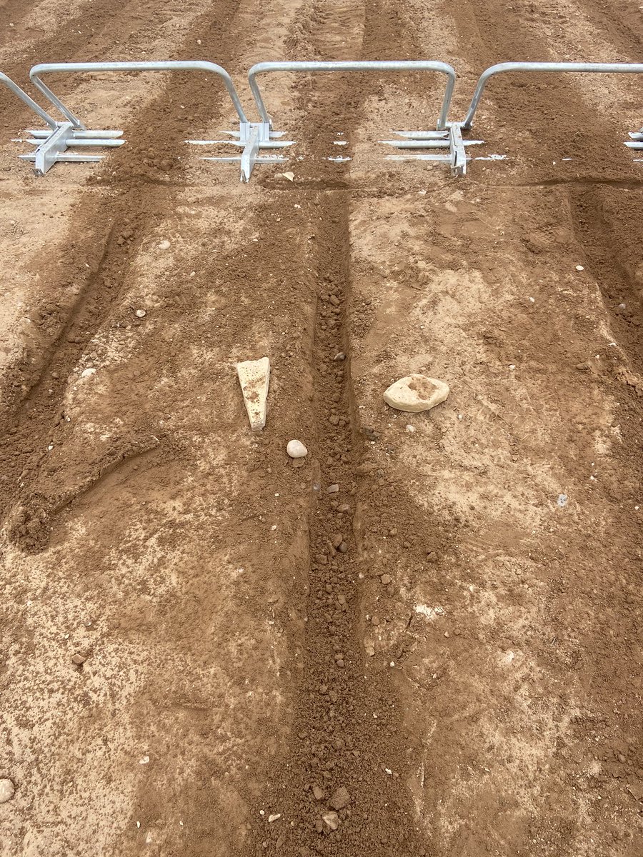 Schoolboydad tweet media