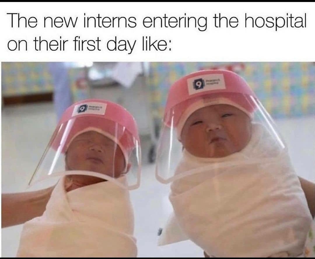 memebbswala tweet media