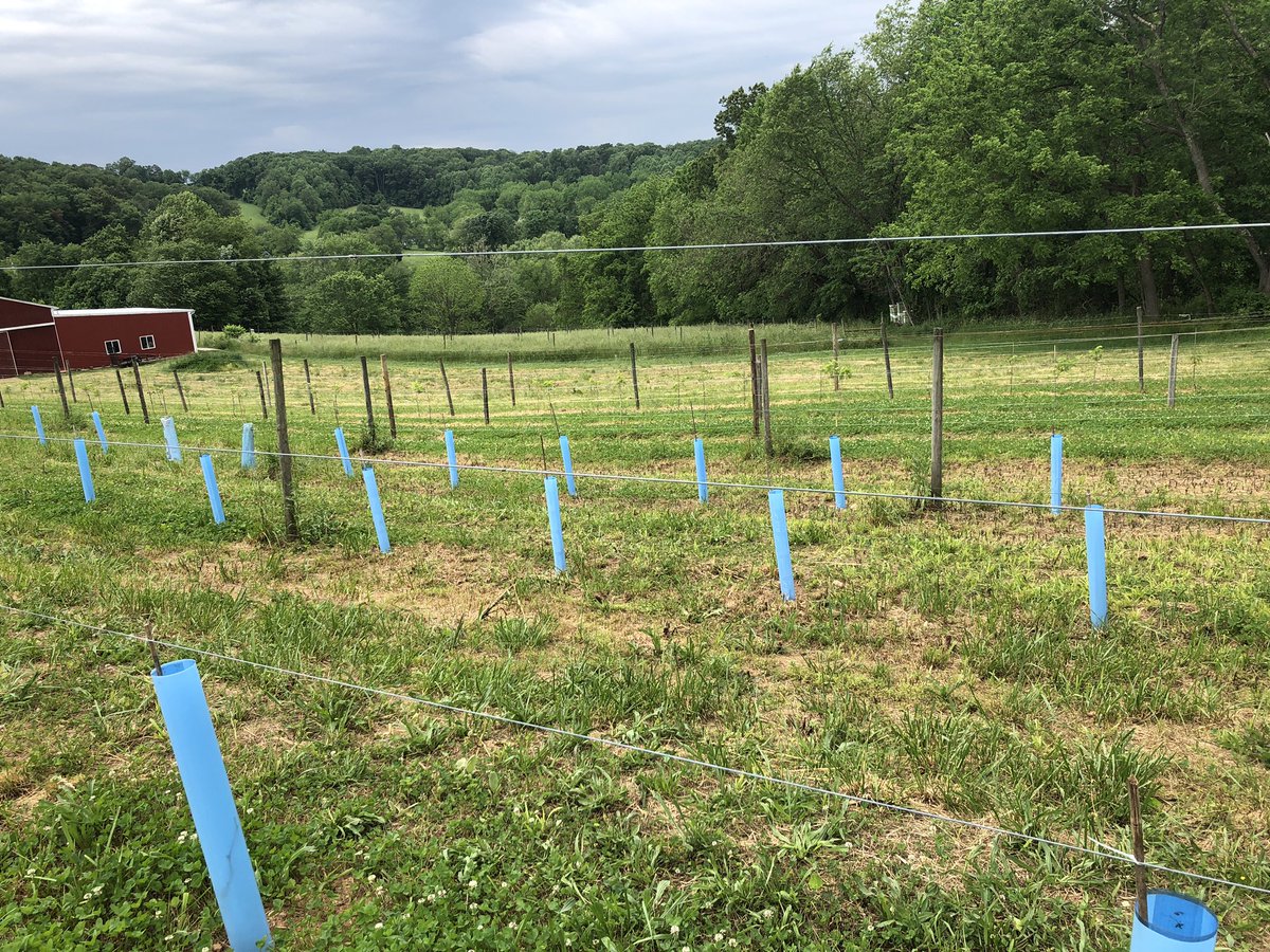 Lorenza Ponce tweet media