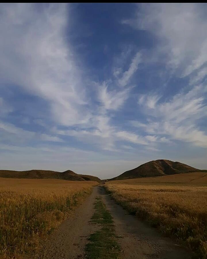 BekirhanBeldesi's tweet photo. Herkes Rızkını Alır 🐜
Allah Bol Bereketli Bir Hasat Olmasını Nasip Eylesin.🌾🌾
#bekirhankaniyahene
#bekirhanbeldesi 😍 https://t.co/HeNvzi6S2D