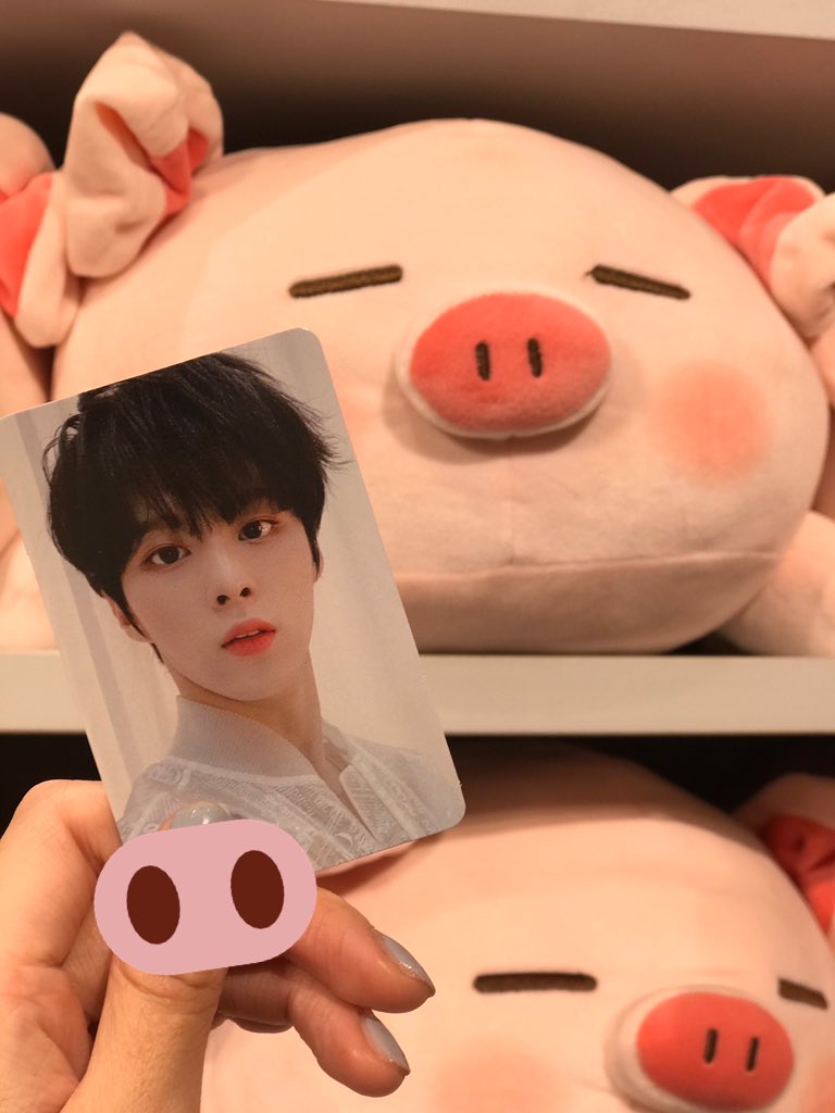 쭈쭈바오,키키 tweet media