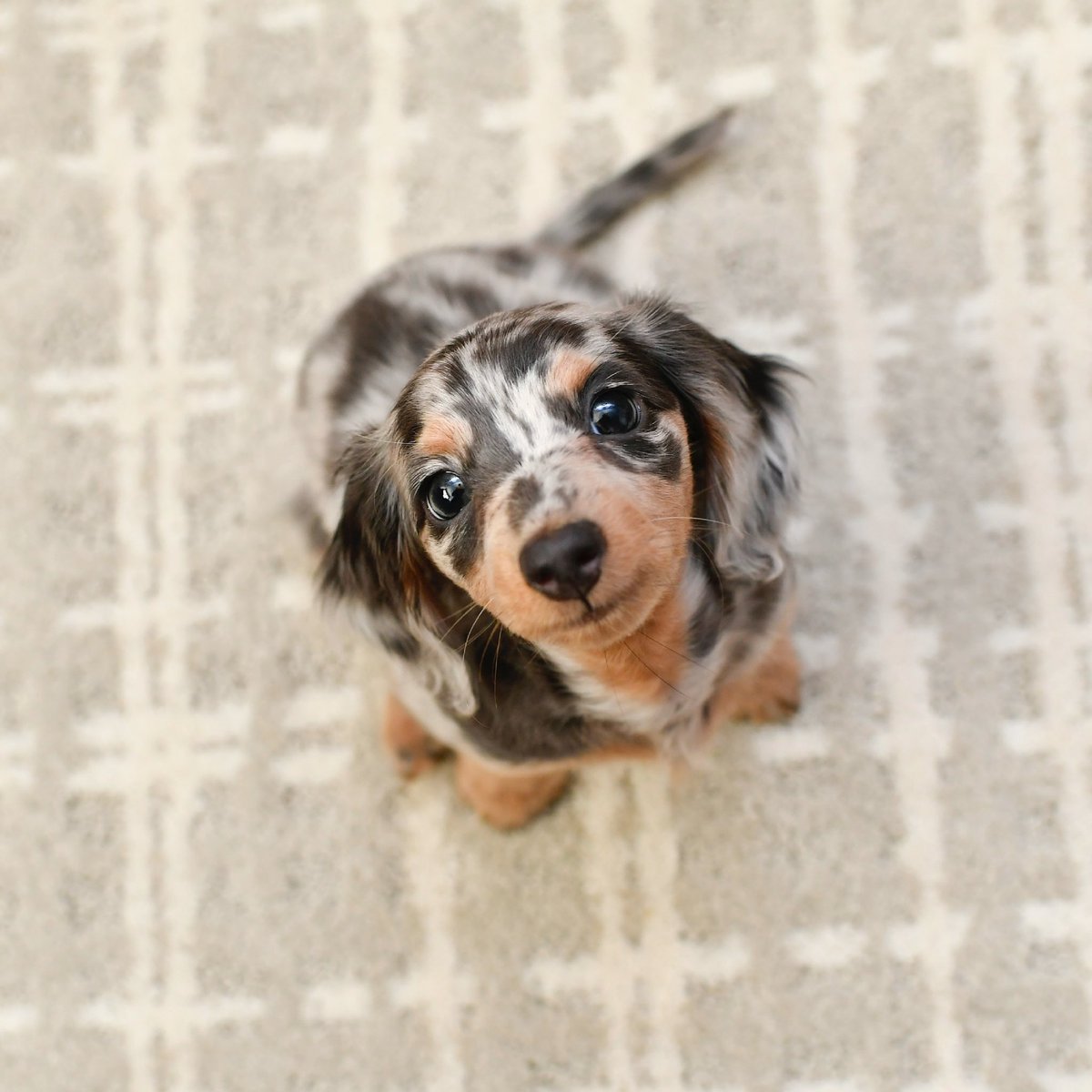 “Hey. You up there. Pick me up!”