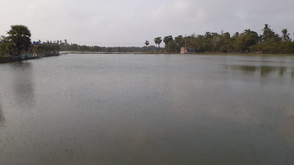 Pratik_das5060's tweet photo. ଆମ୍ଭ ମାନେ ଗ୍ରାମ ବଉଲକଣୀ, ଗ୍ରାମ ପଂଚାୟତ ବଉଲକଣୀ ,ବ୍ଲକ ମହାକାଳପଡ଼ା ,ଜିଲା କେନ୍ଦ୍ରାପଡା ଓଡିଶାର ବାସିନ୍ଦା ଅଟୁ । ବାତ୍���ା ୟାଶର ଚାରି ୫ ଦିନ ବିତି ଗଲା ପରେ ମଧ୍ୟ ଆମ୍ଭ ମାନଙ୍କର ଚାଷ ଜମି ଯାହାକି ଵଉଳକଣୀ ପଂଚାୟତ ଅଫିସର ଉତ୍ତର ଏବଂ ପୁର୍ବ ଭାଗରେ ଅବସ୍ଥିତ, ସମ୍ପୂର୍ଣ ଭାବରେ ଜଳମଗ୍ନ ହୋଇ ରହିଛି। (1/4) https://t.co/zfEAWriGmS