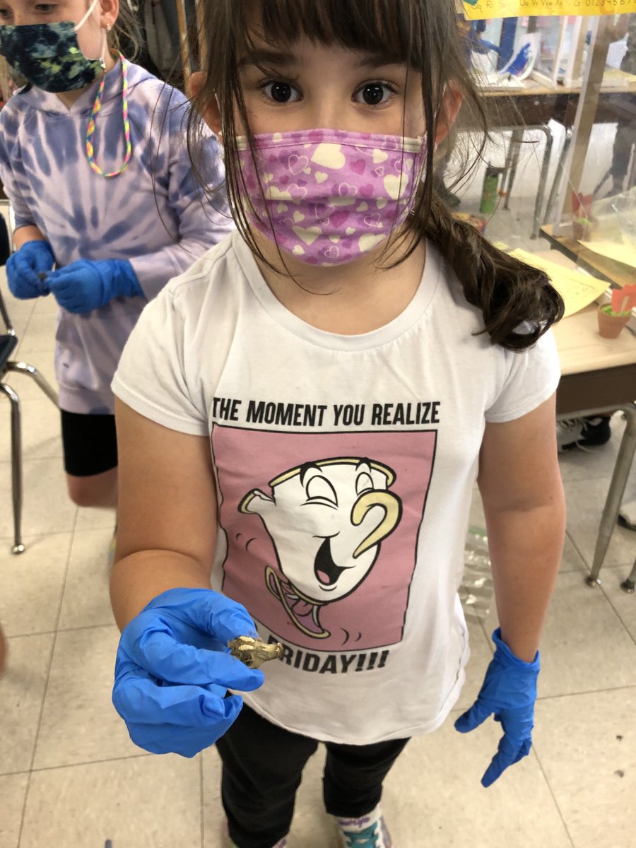 Scientists in the making