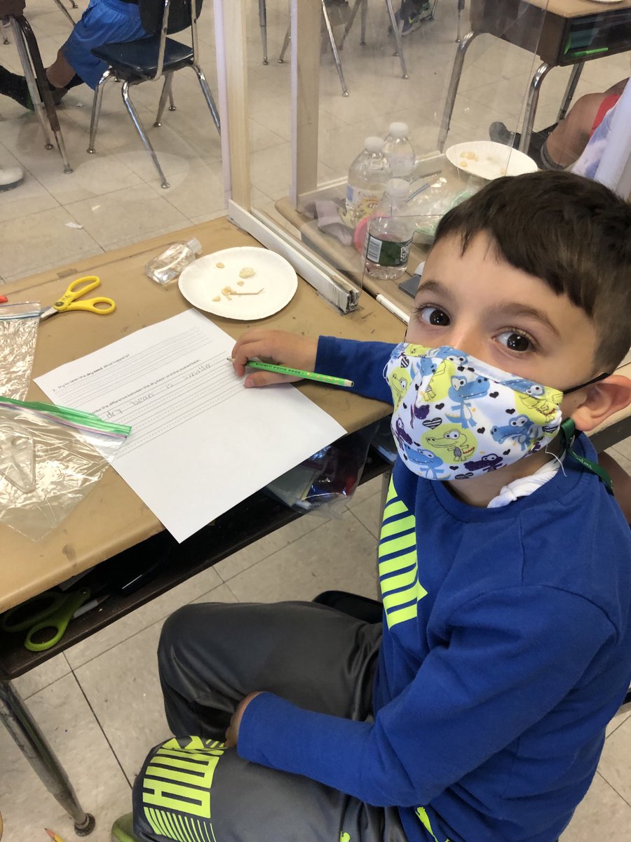 Dissecting a seed with Ms Portaro