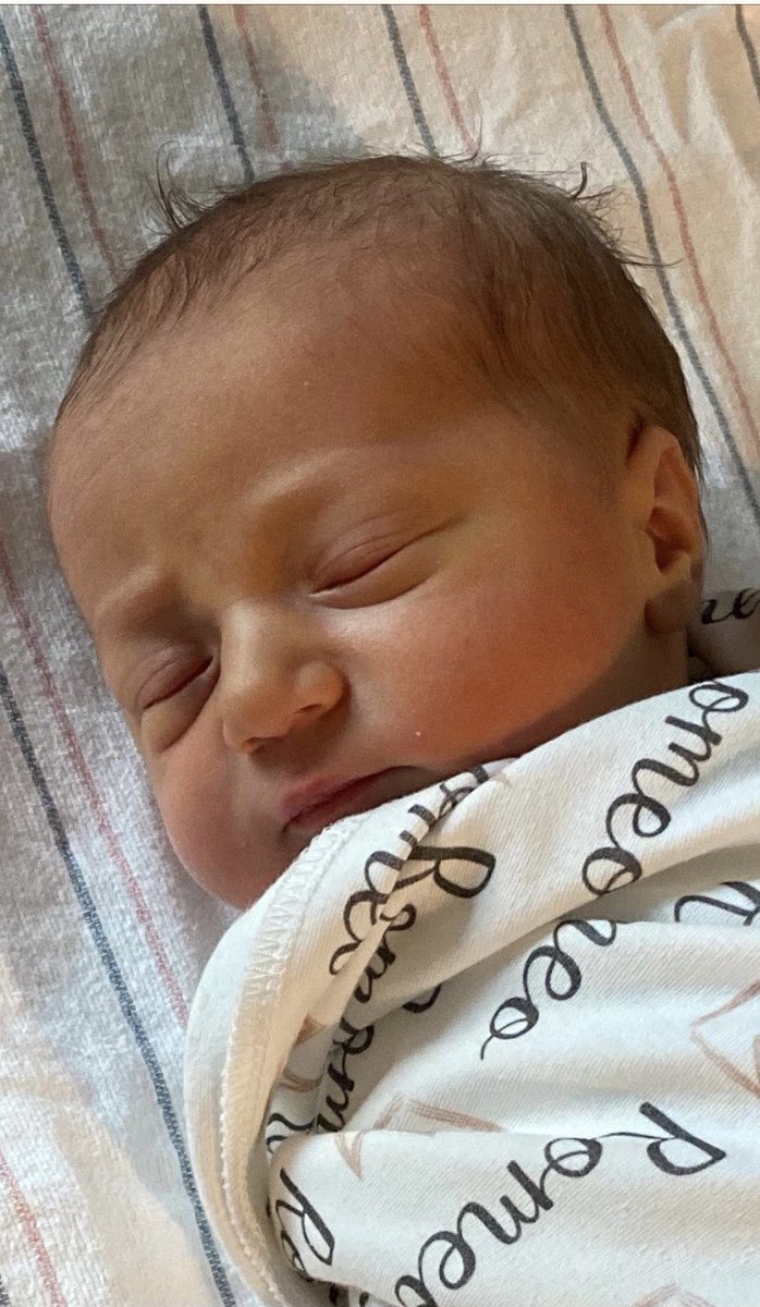 Lauren Sorrentino tweet media