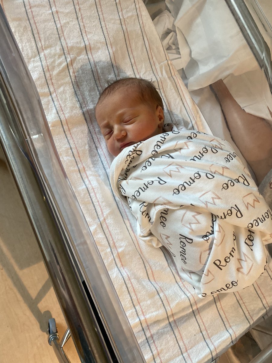 Lauren Sorrentino tweet media