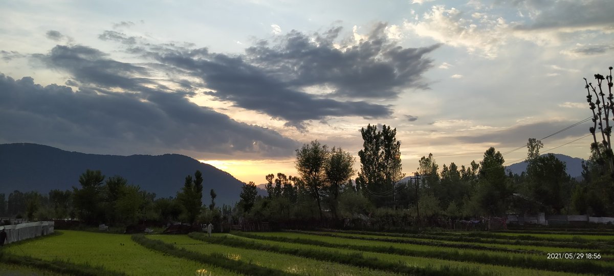 hilalshah_1's tweet photo. "Don't Forget: Beautiful sunsets need cloudy skies", Paulo Coehlo
#lolab #cloudysunsets https://t.co/VQNuHzZUGf