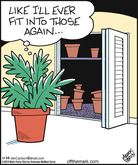 MpathEssentials's tweet photo. hahahah

Artist: @mark_parisi_otm

#empath #empaths #empathessentials #empathprotection #empathempowerment #empathsbelike #plant #plants #plantsofig #plantsofinstagram #plantmom #plantlady #goddessofnature #plantmemes #goodvibes #goodenergy https://t.co/tObyytzcNH