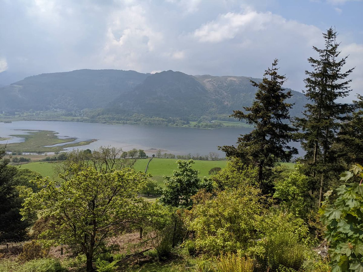 crystaltipps22's tweet photo. A short walk near Bassenthwaite. https://t.co/bX3Dw4oysj