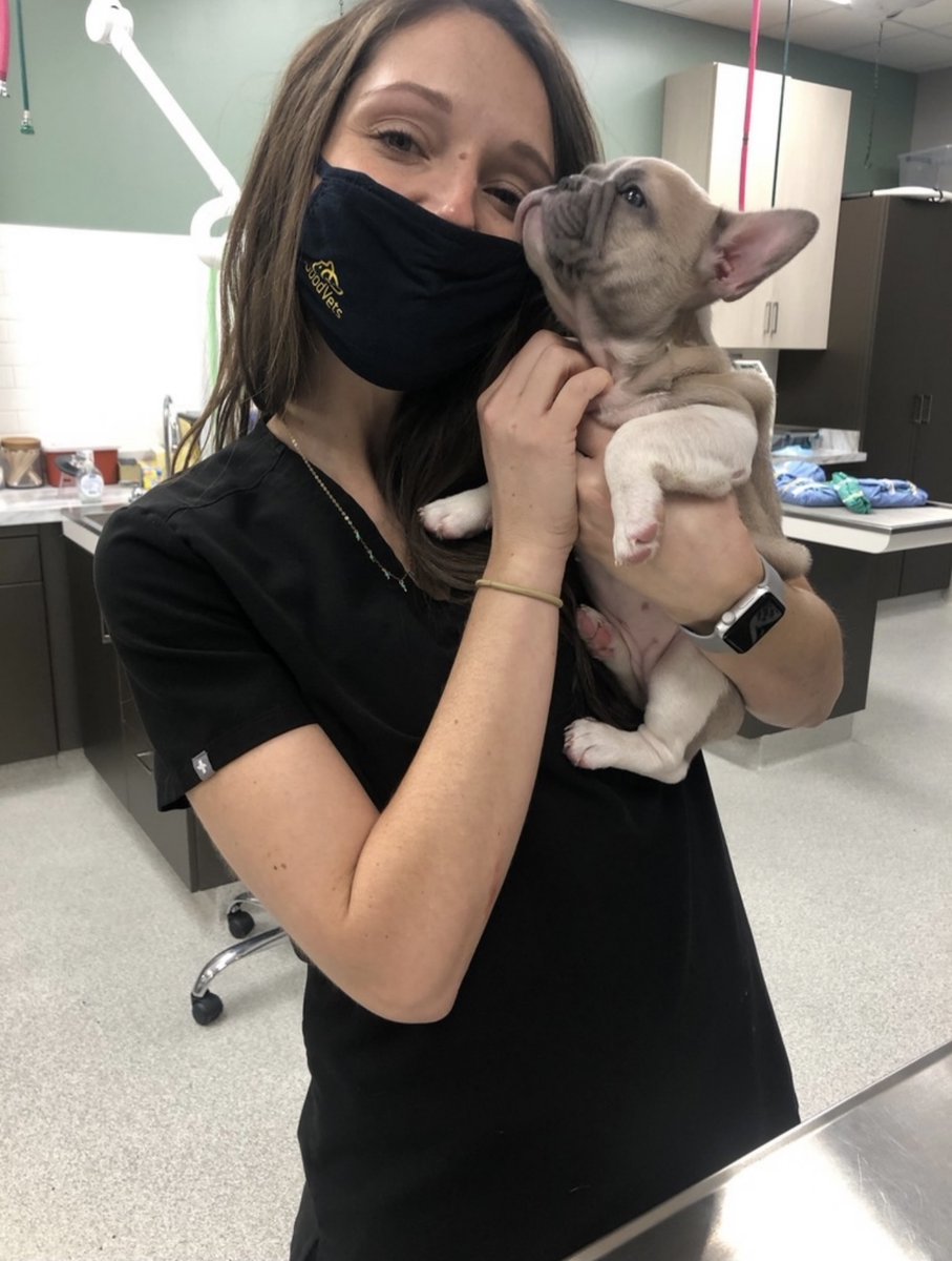 The_GoodVets's tweet photo. Veterinary medicine is one of the most rewarding professions in the world. GoodVets, along with the entire VetMed industry, has a responsibility to lead by example to empower and build a positive culture for our veterinarians, technicians, and support staff. Having such a val ... https://t.co/4K7CTbAnrB