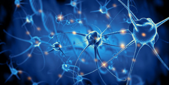 BiomedJ's tweet image. Scientists developed a brain stimulation technique using focused ultrasound that is able to turn specific types of neurons in the brain on & off & precisely control motor activity without surgical device implantation
sciencedaily.com/releases/2021/…