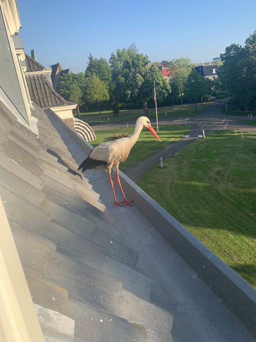 Jaap Smit tweet media