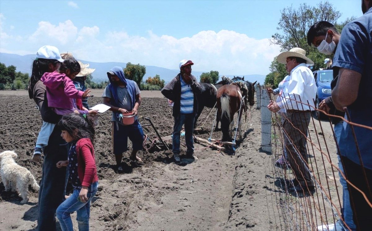 JacoboR18's tweet photo. #YoSoyJacobo☝🏼|De niño trabajé con mis padres en el campo, aprendí que la tierra es quien nos da vida🌱, que se le tiene que apostar más al sector. 

Quiero ser tu presidente municipal porque tengo la solución a las problemáticas que nos aquejan. Este 6 de junio #VotaTodoPSI🗳️. https://t.co/NmCKxe3s6s