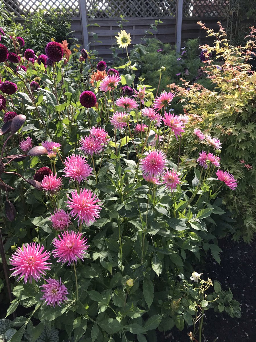 We like flowers (WeLikeFlowers1) Twitter