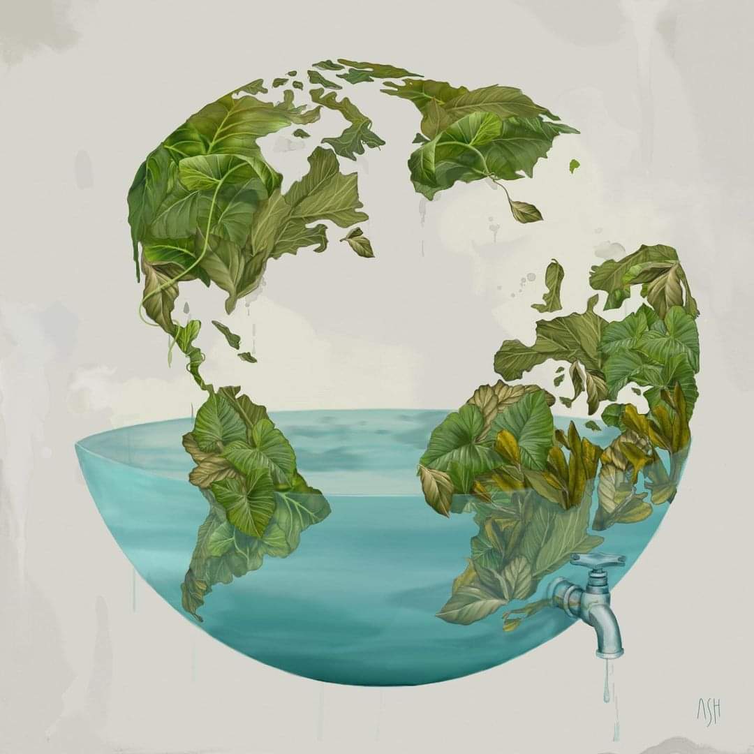 Ecosfera Biodegradables tweet media