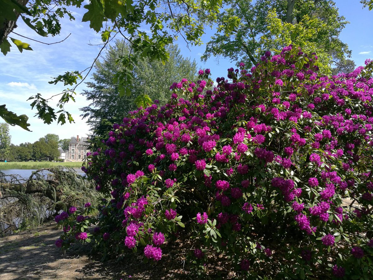 SebLouchard's tweet photo. Superbe domaine, beau temps, que du bonheur https://t.co/aiFT3AvMGK