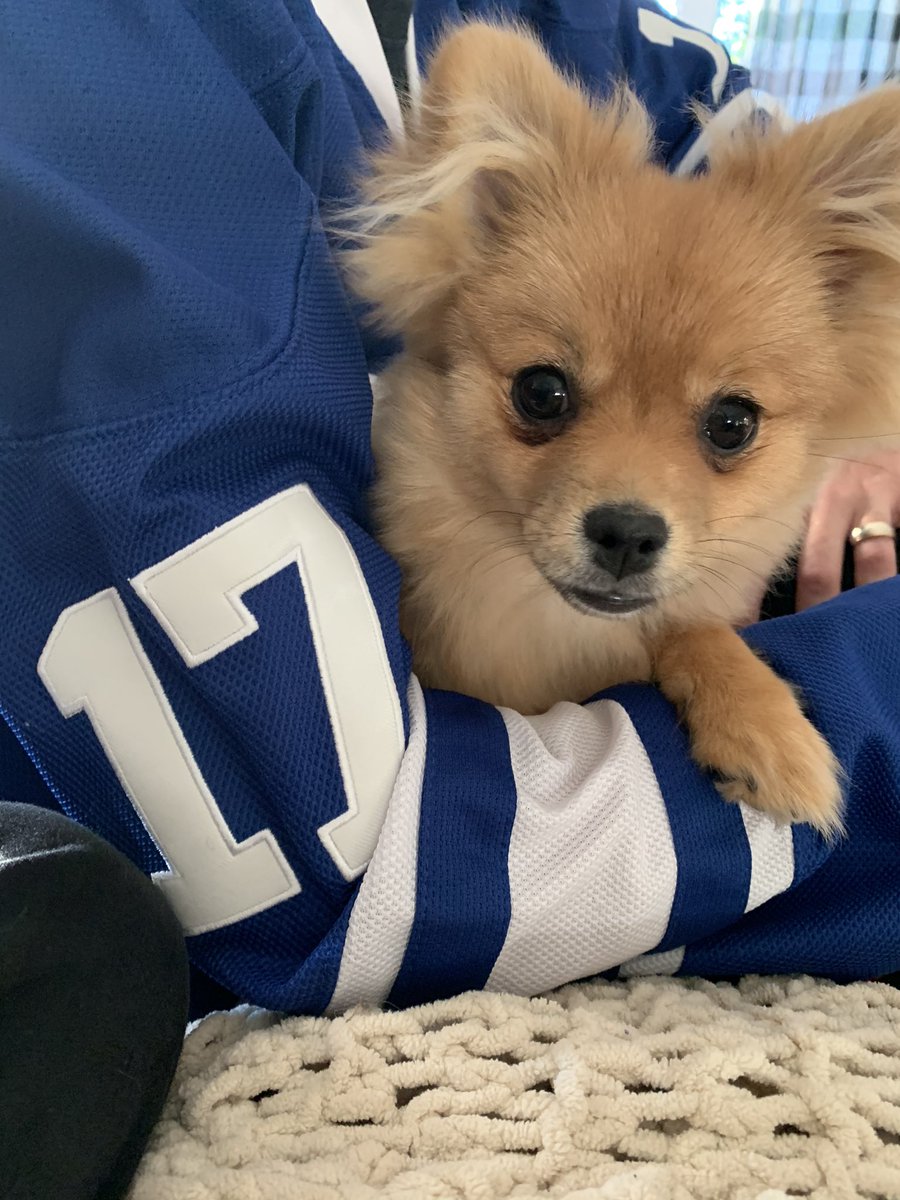 Ready for tonight’s game. <a href="/MapleLeafs/">Toronto Maple Leafs</a> <a href="/Thornton_CUPE/">T.Thornton.</a>