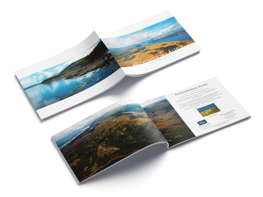 InnovatedDP tweet picture