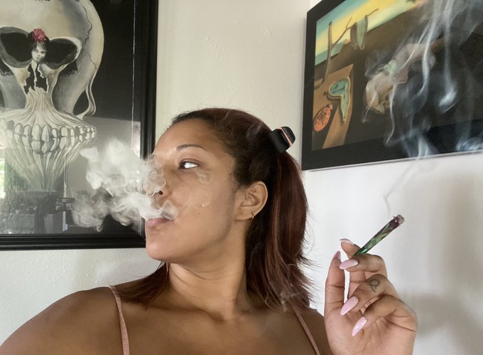 My house is set up to just be a series of ideal smoke spots. https://t.co/s7sFTiTocE<a href="/tag/newprofilepic"class="tags"><span>#newprofilepic</span></a>