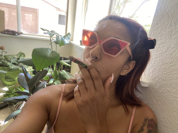 My house is set up to just be a series of ideal smoke spots. https://t.co/s7sFTiTocE<a href="/tag/newprofilepic"class="tags"><span>#newprofilepic</span></a>