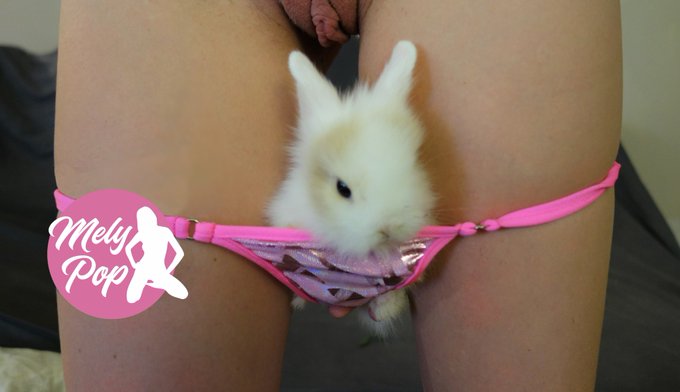 Venez donc faire de la balan&ccedil;oire avec nous !!! sur mon Mym avec notre s&eacute;rie lapinou. 😊 De plus d&eacute;j&agrave;