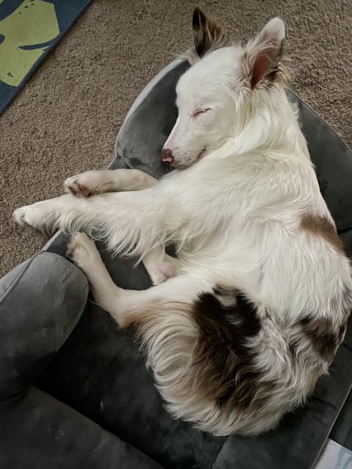 Watch 🌈 kezia slater💘's leaked NSFW photo on TwXstars