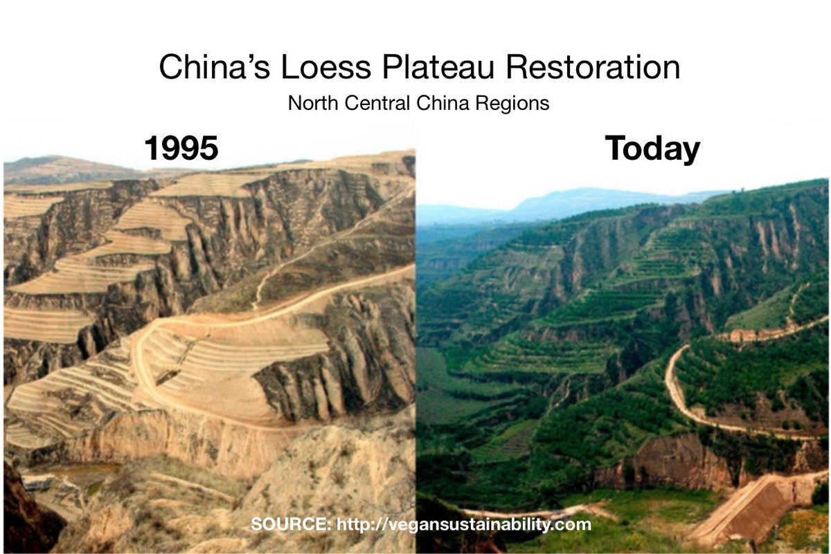 BASSDBKer tweet media