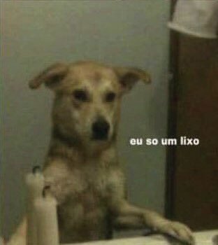 jandss0's tweet photo. minha autoestima é assim https://t.co/PxBVC5YDoR