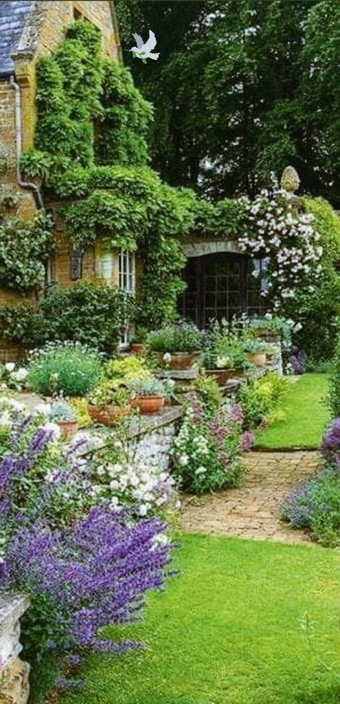 <a href="/santojesus7/">Santo Jesus</a> @Luana_Star_ @DJRhyne1 @MartineAnghela <a href="/PattiBrookd/">Patti Brookd</a> <a href="/PolishRoyalGoat/">Ana and her Goat</a> <a href="/tadayokun73/">🍃🌛EzDo.ONE🚩🍃 ◽◻⬜￤￤🌺</a> @crosiglia @ThacianaVal <a href="/WomanMother1/">Woman/Mother73</a> @GarauPina <a href="/BeatriceLacy/">Beatrice Lacy</a> <a href="/edusapiranga/">Educoloradosap</a> @Carlaxa63784237 <a href="/FL_FLOWI/">😊🅵 🅻 🅾 🆆 🅸☺️Just for Fun😊😊 Meta 17K🇩🇪</a> <a href="/RosaNegra_08/">🖤</a> <a href="/Bvweir/">(((Bvweir))) #He.Must.Be.Stopped.</a> <a href="/Cathhewat123/">🌺 CATHY 🌺</a> <a href="/sherrig108/">Sherri</a> <a href="/Motherofultra1/">👑🦋Mother of NUAZ ω 💦👑love you❤️</a> @Lauraterez <a href="/Luna_Om90/">Luna</a> @Rhomy_m <a href="/TheLadyDyan/">LADY D</a> <a href="/MistressTepco/">꧁スカーレット緋色꧂36K🦩</a> <a href="/YYOOUUSSU/">Eng.Yuosuf-H يوسف</a> <a href="/WALLI27/">Jhon f perez🎶🎸🚵☯</a> <a href="/ZEYNAZERDA/">ZEYNEB MELİSSA</a> <a href="/DjBARBOZA3/">Dj BARBOZA</a> <a href="/OmairaCorreo/">Omaira De Cobo</a> <a href="/shellzfairy/">Shelly Shellaqua</a> <a href="/Silau25/">♡Silvia♡</a> <a href="/Sharuana/">Shari</a> <a href="/shinunao2/">naonao shakura🌸🌸🌸</a> <a href="/SteveGjesdal21/">@SteveGjesdal2 Award Winning Artist</a> <a href="/_Sheezii/">Sheeziii 💐 follow help 🌹</a> <a href="/shanti_flowers/">🥀☔️💥Shanti 💧🌿🍁🌹</a> @StarKaren_ @SashaE_Star <a href="/Silviadomi22G/">♕Lady in Red ❤</a> <a href="/Semio79/">Sem@</a> <a href="/SnowWhiteRina/">Snow White Rina</a> <a href="/sam_oputa/">Sam Oputa</a> <a href="/seaweed115B/">🌸🍃♡éclare 🍃🌸MGWV</a> @Samanta33533076 <a href="/steligarcia/">Sonia Garcia</a> <a href="/SavannahTimland/">Savannah🌸</a> <a href="/sofi50979539/">sofi</a> @softaimer8 ♻️🥀👁️✳️🌱💯🌱✳️👁️🥀♻️