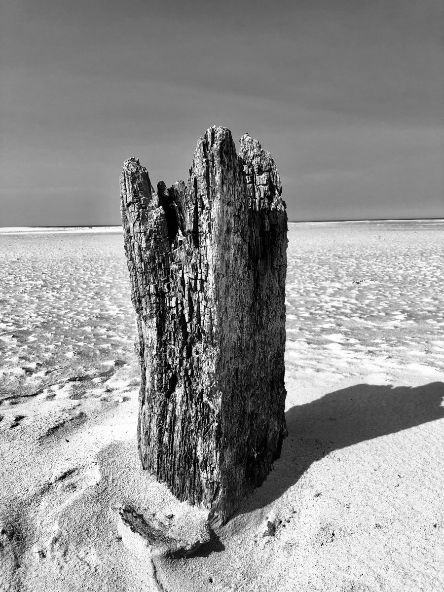 Beste tijd gehad #Schiermonnikoog