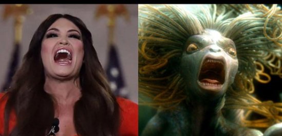 Brown Eyed Susan tweet media