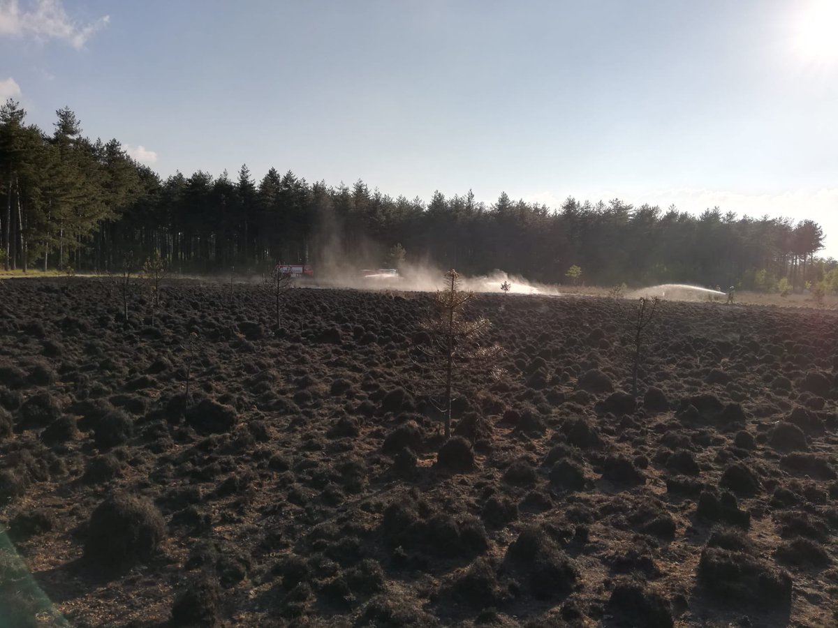 Klein heidebrandje vanavond in #kalmthoutseheide, nabij hoofdingang. #brandweer snel ter plaatse met verschillende korpsen en #brand snel onder controle. De schade werd beperkt tot 1 ha heidegebied. Dank aan #brandweer voor accuraat optreden.   <a href="/BWZoneRand/">Brandweer Zone Rand</a> <a href="/PZ_GRENS/">Politiezone GRENS</a> <a href="/natuurenbos/">Natuur en Bos</a>