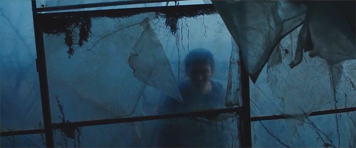 Letterboxd tweet media