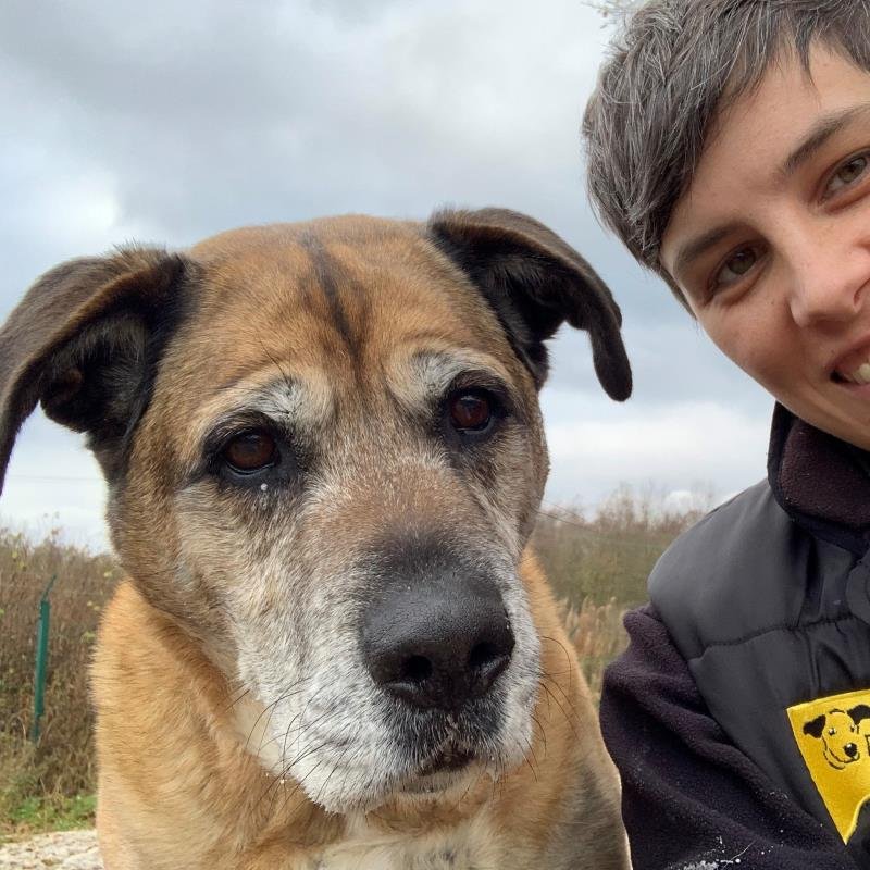 AdoptionsUk's tweet image. Please retweet to help Binx find a home #Edinburgh #Scotland 🏴󠁧󠁢󠁳󠁣󠁴󠁿
Aged 8, this poor boy has been overlooked, he enjoys the car, he's housetrained, he's affectionate and enjoys walks, intelligent, enjoys the garden and toys, please share ❤️
DETAILS👇
dogstrust.org.uk/rehoming/dogs/…
#dogs