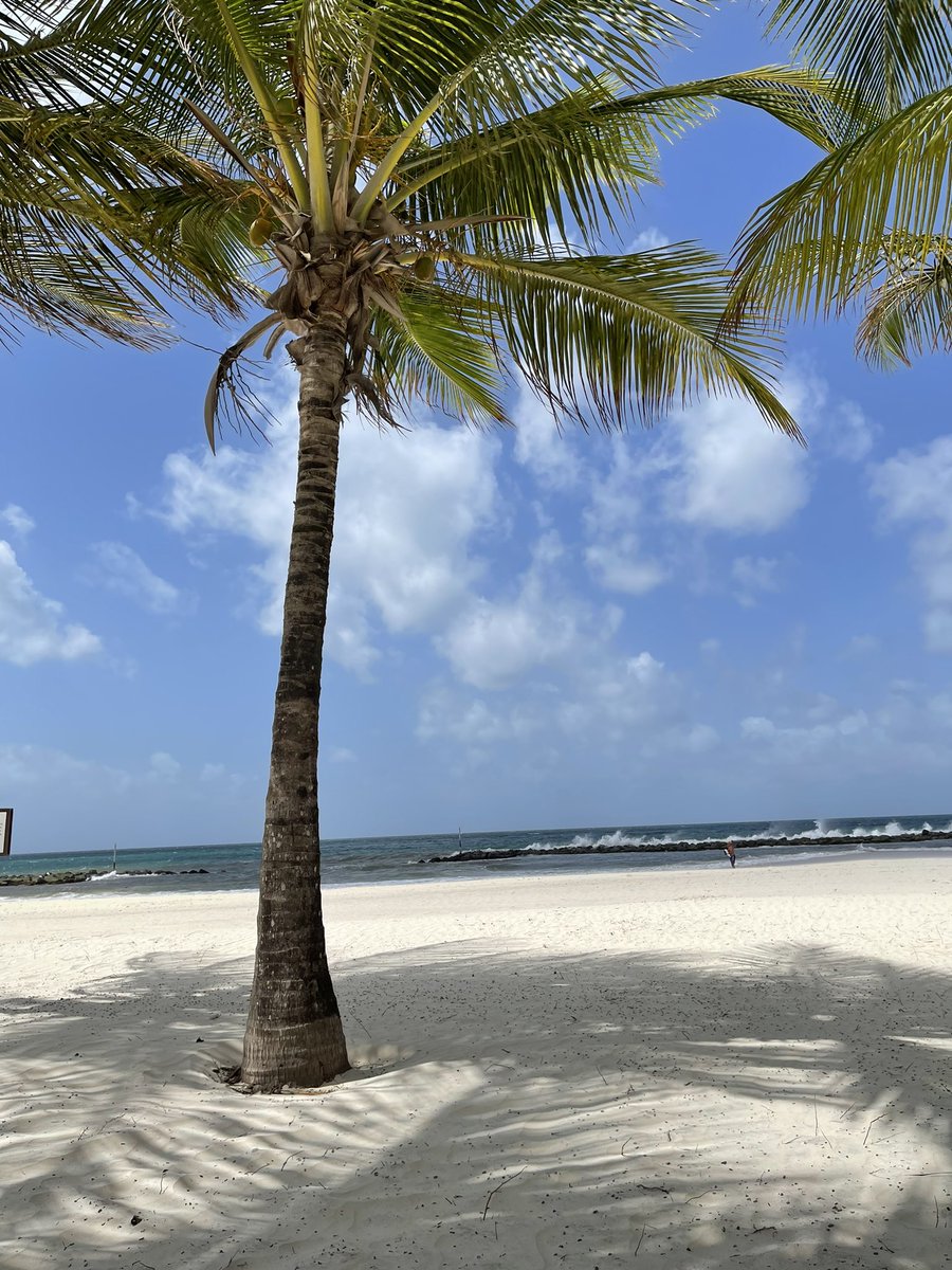 Brielle Lawrence (LaCosta) tweet media