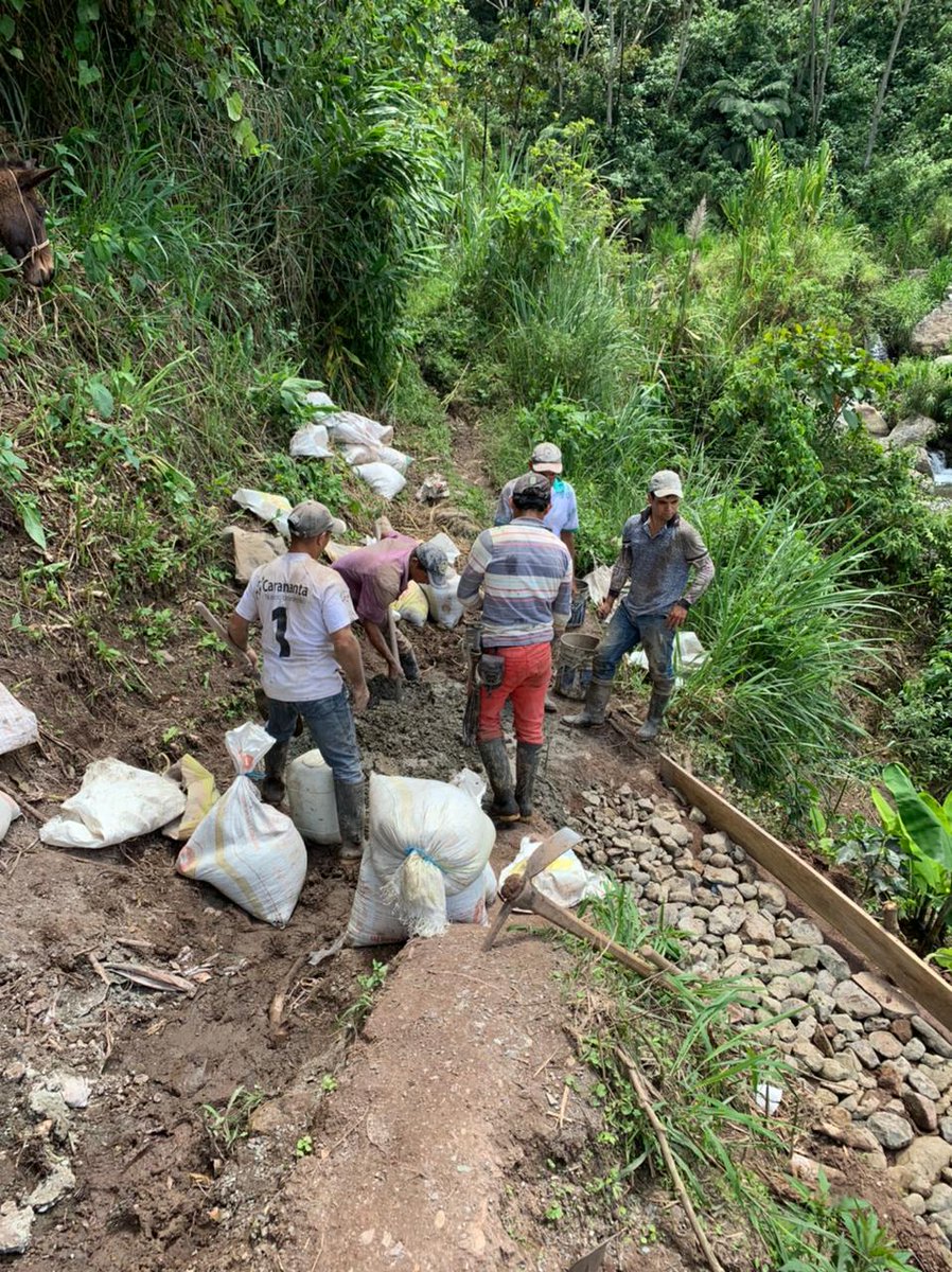 puenteros's tweet photo. Campesinos de Caramanta #Antioquia
 finalizaron la implementación de su nuevo puente peatonal. Una vez más Instituciones y Comunidad construyendo futuro. Ejemplo de que si se puede trabajar juntos. 
.
.
.
.
.
#puente
#puenteros
#puentepeatonal
#puentecolgante
#puentedesuspension https://t.co/pvPpk6avu6